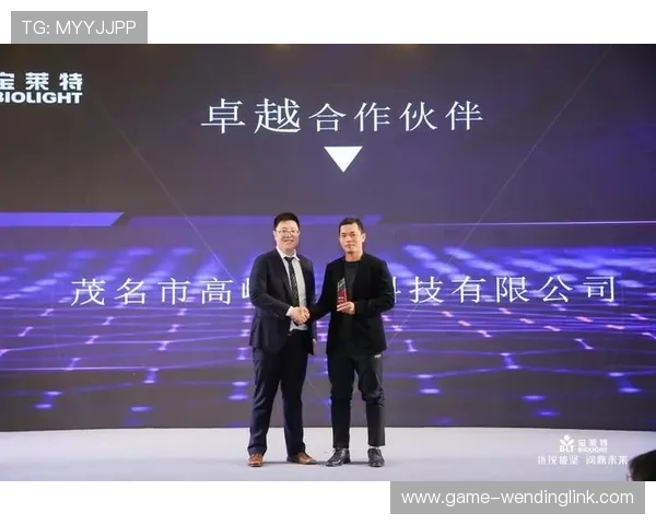 问鼎官网：合作伙伴与客户案例展示的专业官方展示窗口