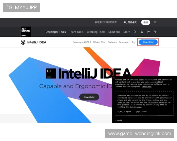 问鼎下载链接入口app下载，快速便捷的下载安装流程详解