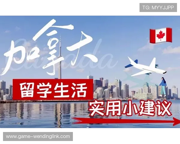 问鼎电子游戏下载：优化下载体验的实用建议与用户常见问题解答