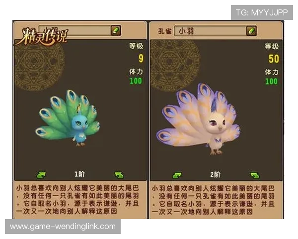 问鼎登陆页面制作技巧详解如何通过专业设计提升游戏登录界面吸引力与用户粘性全面分析优化问鼎登陆页面的实用方法与最佳实践指南